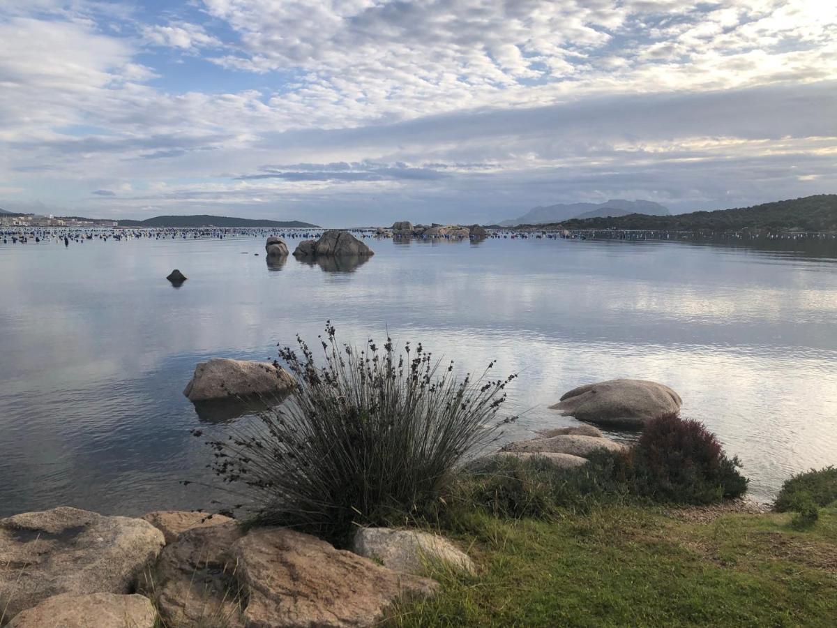 Marina Butterfly Apartment Olbia Bagian luar foto